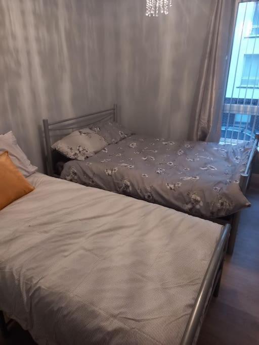Modern 2-Bedroom City Apartment With Free Parking Belfast Exterior photo